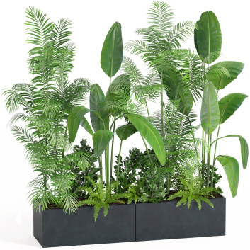Blumentopf Innenset Zimmerpflanzen 004
