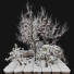 Baum Granatapfel 02 (Winterszene) - mio