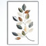 Kino Frame - farnazlat023