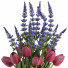 Bouquet Ensemble 04 tulipe - Mrym.3dmodel