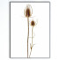 Pictures Frame - farnazlat023