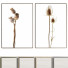 Pictures Frame - farnazlat023