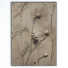 Pictures Frame - farnazlat023