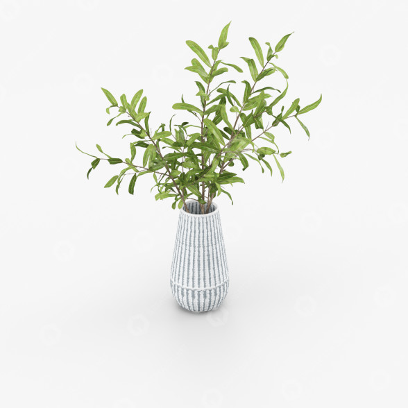 Ваза та рослина Olive Branch 3D модель