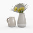 Vasen und Pflanzen Protea and Palm - vizz.n3d