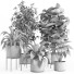 Macetas Conjunto de plantas de interior 022 - nr.asgari