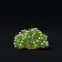 Krzewy Spiraea Japonica Albiflora - valeriy korol ld