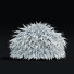 Trawa Hakonechloa Macra - valeriy korol ld