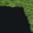 Trawa Hakonechloa Macra - valeriy korol ld
