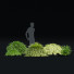 Trawa Hakonechloa Macra - valeriy korol ld