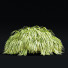 Trawa Hakonechloa Macra - valeriy korol ld