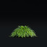 Trawa Hakonechloa Macra - valeriy korol ld
