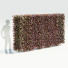 Hecke Rotbuche - valeriy korol ld