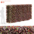 Hecke Rotbuche - valeriy korol ld
