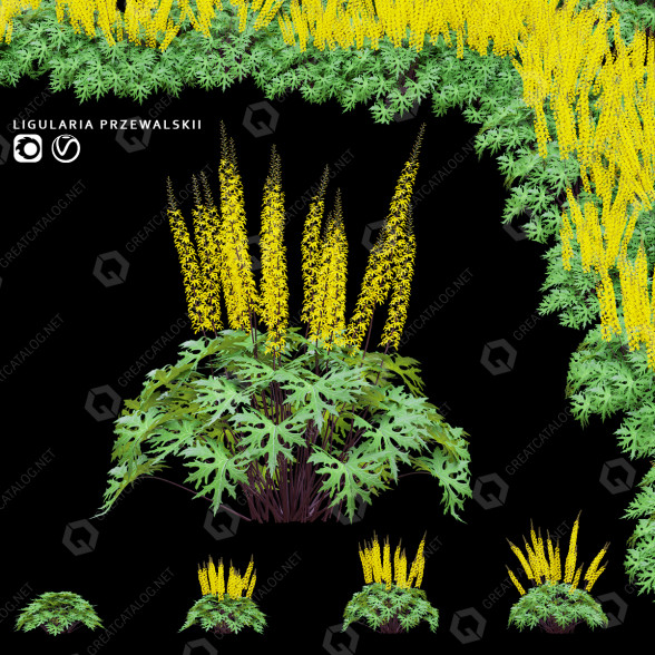 Gras Goldkolben 3D-Modell