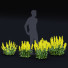 Blumen Punktierte Gilbweiderich - valeriy korol ld
