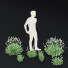 Blumen Lavendel angustifolia alba - valeriy korol ld
