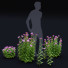 Kwiaty Monarda Didyma 2 - valeriy korol ld