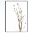 Kino Frame 10 - farnazlat023
