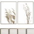 Kino Frame 10 - farnazlat023