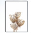 Kino Frame 12 - farnazlat023