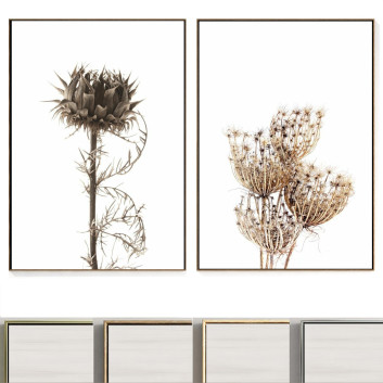 Bilder Frame 12