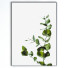 Картини Frame 19 - farnazlat023