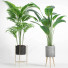 Macetas Conjunto de plantas de interior 002 - Mrym.3dmodel