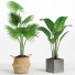 Macetas Conjunto de plantas de interior 002 - Mrym.3dmodel