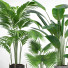 Macetas Conjunto de plantas de interior 002 - Mrym.3dmodel