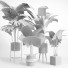 Macetas Conjunto de plantas de interior 002 - Mrym.3dmodel