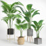 Macetas Conjunto de plantas de interior 002 - Mrym.3dmodel
