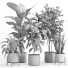 Macetas Conjunto de plantas de interior 024 - nr.asgari