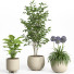 Doniczki Indoor Plant Set 026 - nr.asgari
