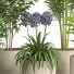 Doniczki Indoor Plant Set 026 - nr.asgari