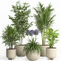 Doniczki Indoor Plant Set 026 - nr.asgari