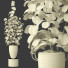 Blumentopf Sammlung 160 - uniquevry
