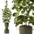 Blumentopf Sammlung 160 - uniquevry