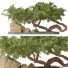 Arbre et décoration Collection 159 - uniquevry