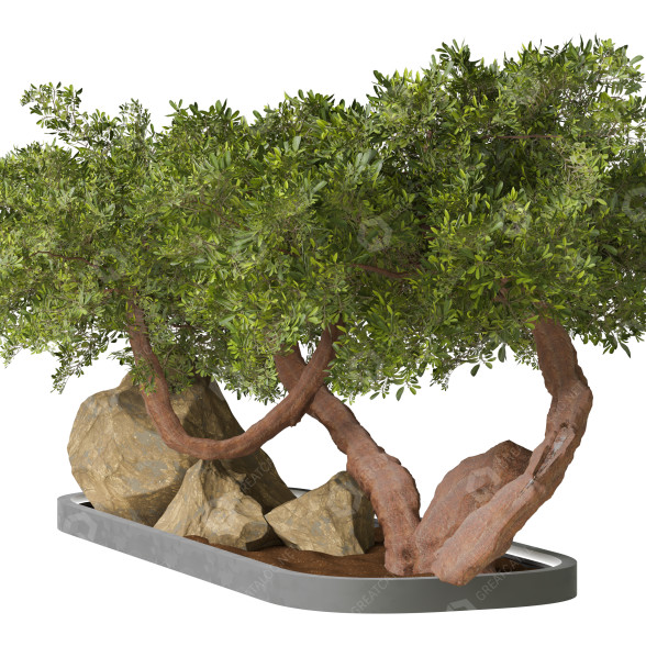 Arbre et décoration Collection 159 modèle 3D