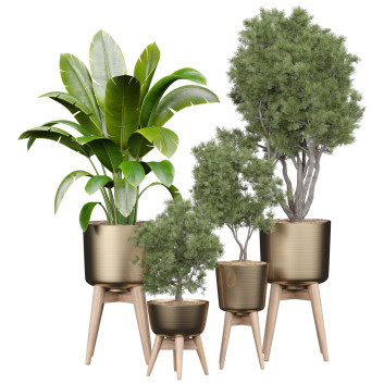 Pots de fleurs  Collection 158 Modèle 3D