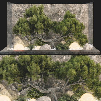 Baum und Dekoration Pflanzensammlung Set 22