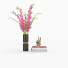 Bouquet et décoration Gladiolus - vizz.n3d