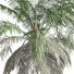 Plantas y decoración Conjunto de Caja Exterior e Interior 325 - unisjamavari