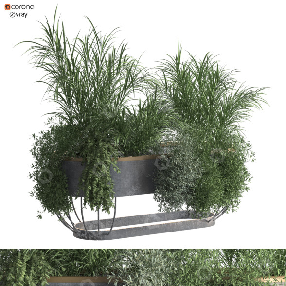 Maceta Conjunto de plantas en caja 321 Modelo 3D