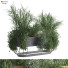 Maceta Conjunto de plantas en caja 321 - unisjamavari