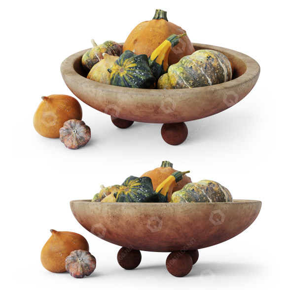 Овочі Bowl Red With Pumpkins Set 2 3D модель