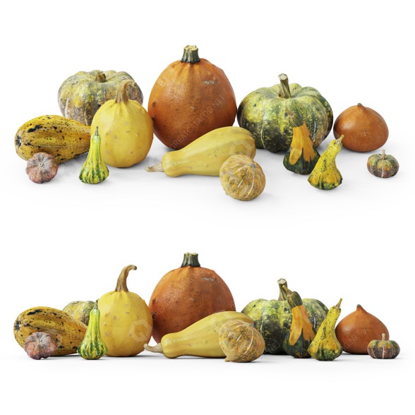 Овощи Pumpkins Set 4 3D модель