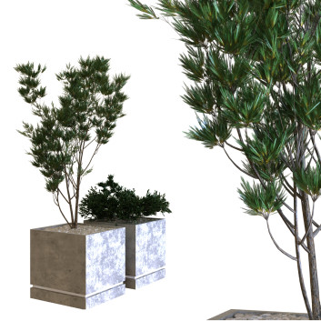 Árbol y arbusto  Conjunto 09 Modelo 3D