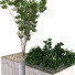 Árbol y arbusto Conjunto 09 - unisjamavari
